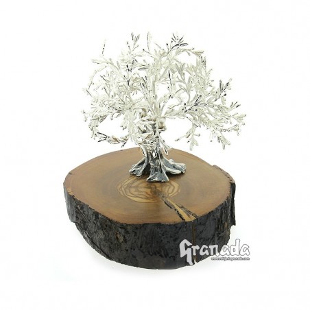 Olivo de Plata 14 cm