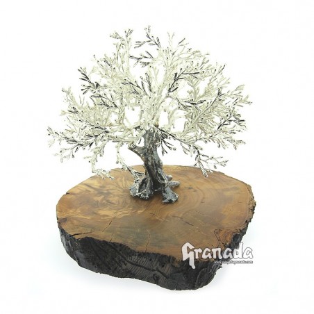 Olivo de Plata 18 cm