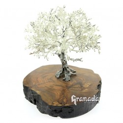 Olivo de Plata 19 cm