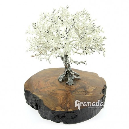 Olivo de Plata 19 cm