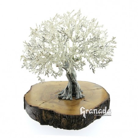 Olivo de Plata 25 cm
