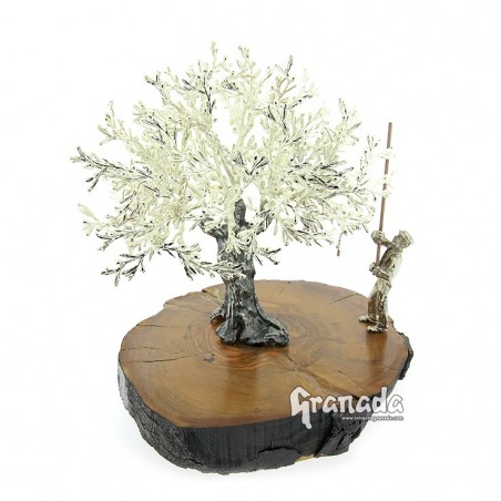 Olivo de Plata - Vareador 20 cm