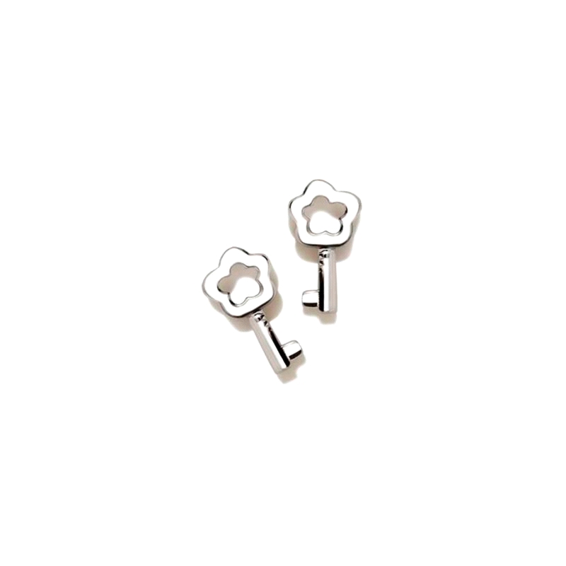 PENDIENTES PLATA AGATHA RUIZ DE LA PRADA LOCK                         