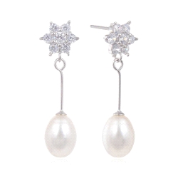 PENDIENTES PLATA LARGOS CIRCONITAS ESTRELLA