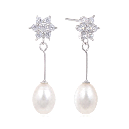 PENDIENTES PLATA LARGOS CIRCONITAS ESTRELLA