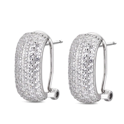 PENDIENTES PLATA CIRCONITA CIERRE OMEGA