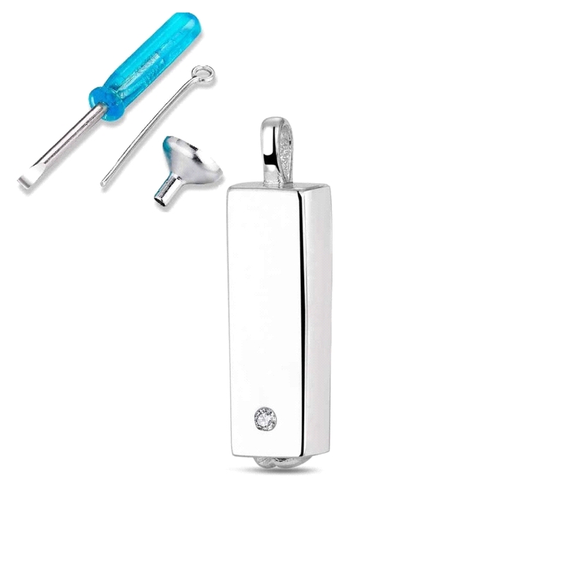 COLGANTE PLATA NOMEOLVIDES CUBO Y ACCESORIOS