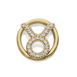MOTIVO VICEROY ACERO IP DORADO CIRCONITAS TAURO 14271M01012T