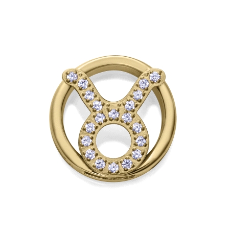 MOTIVO VICEROY ACERO IP DORADO CIRCONITAS TAURO 14271M01012T