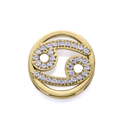MOTIVO VICEROY ACERO IP DORADO CIRCONITAS CANCER 14271M01012CA