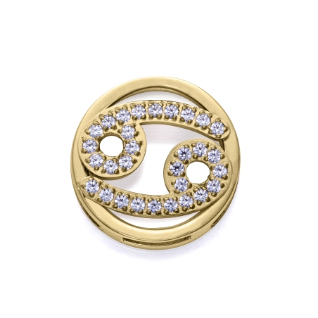 MOTIVO VICEROY ACERO IP DORADO CIRCONITAS CANCER 14271M01012CA
