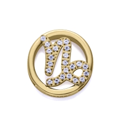 MOTIVO VICEROY ACERO IP DORADO CIRCONITAS CAPRICORNIO 14271M01012C