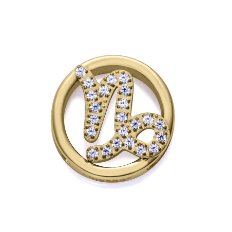 MOTIVO VICEROY ACERO IP DORADO CIRCONITAS CAPRICORNIO 14271M01012C