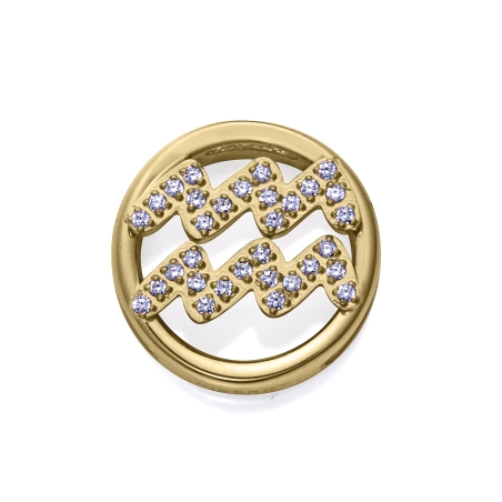 MOTIVO VICEROY ACERO IP DORADO CIRCONITAS ACUARIO 14271M01012A