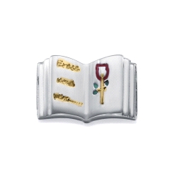 MOTIVO VICEROY ACERO DORADO ESMALTE LIBRO 14242M01000
