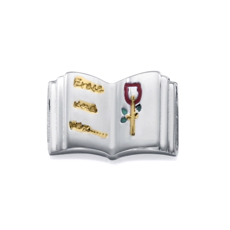 MOTIVO VICEROY ACERO DORADO ESMALTE LIBRO 14242M01000