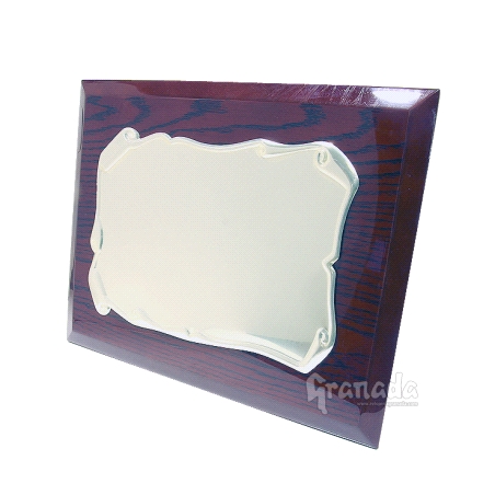 Placa Homenaje Plateada