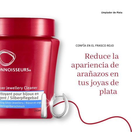 LIMPIADOR DE PLATA CONNOISSEURS