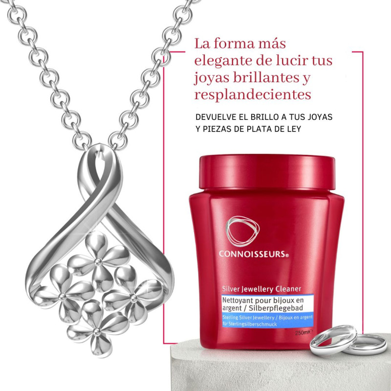 LIMPIADOR DE PLATA CONNOISSEURS