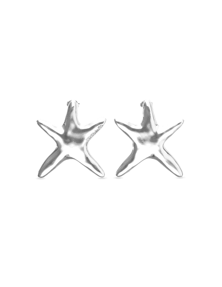 PENDIENTES UNO DE 50 STARBORN PEN1084MTL0000U                                                       