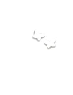 PENDIENTES AGATHA RUIZ DE LA PRADA ACERO MINICHUSQUIS MARIPOSA A012CHU                              